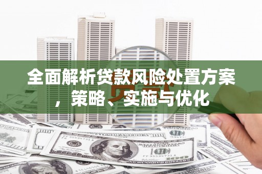 龙城全面解析贷款风险处置方案，策略、实施与优化