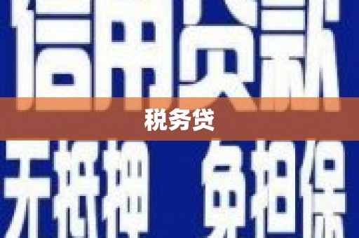廉江税务贷