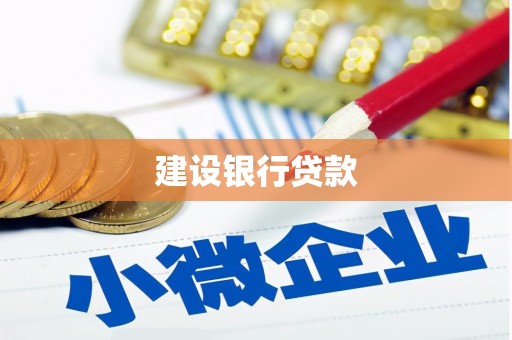 长兴建设银行贷款
