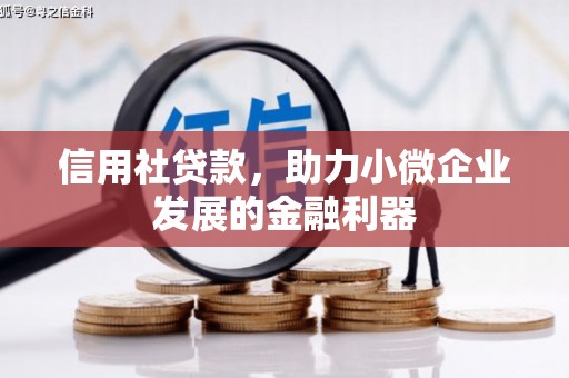 宜君信用社贷款，助力小微企业发展的金融利器
