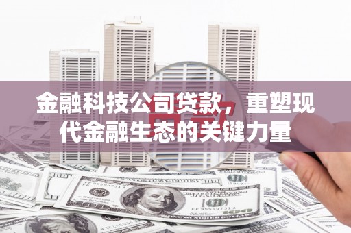 凌海金融科技公司贷款，重塑现代金融生态的关键力量