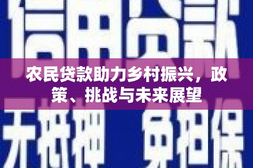 大武农民贷款助力乡村振兴，政策、挑战与未来展望