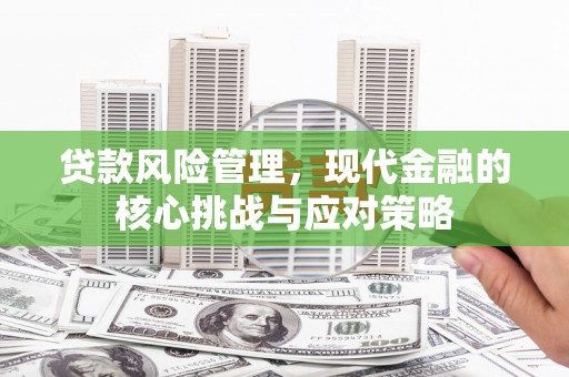 滨州贷款风险管理，现代金融的核心挑战与应对策略