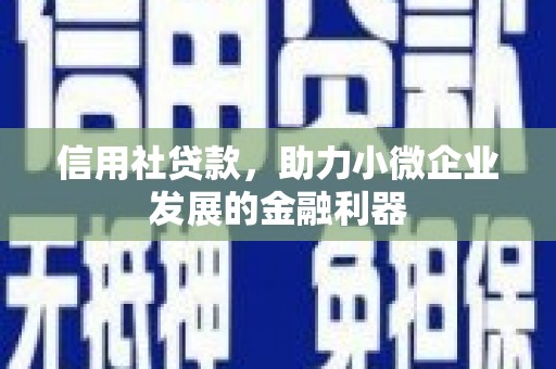 田寮信用社贷款，助力小微企业发展的金融利器