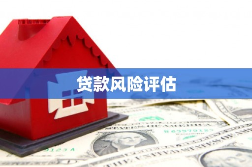 呼兰贷款风险评估