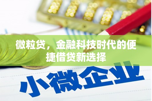 柳营微粒贷，金融科技时代的便捷借贷新选择