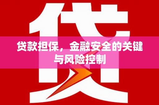 台州贷款担保，金融安全的关键与风险控制
