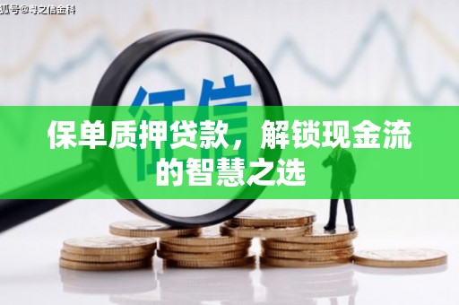 海勃湾保单质押贷款，解锁现金流的智慧之选