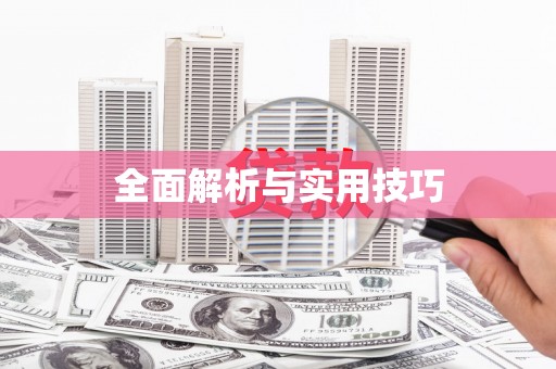 渭城全面解析与实用技巧
