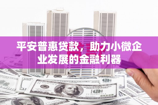 通城平安普惠贷款，助力小微企业发展的金融利器