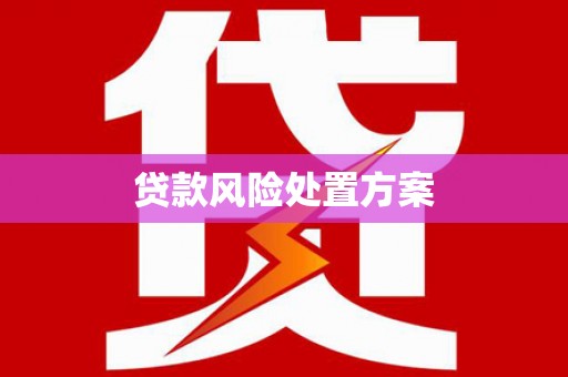 宁阳贷款风险处置方案