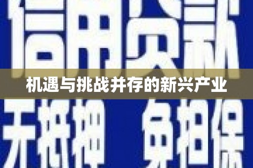 中方机遇与挑战并存的新兴产业