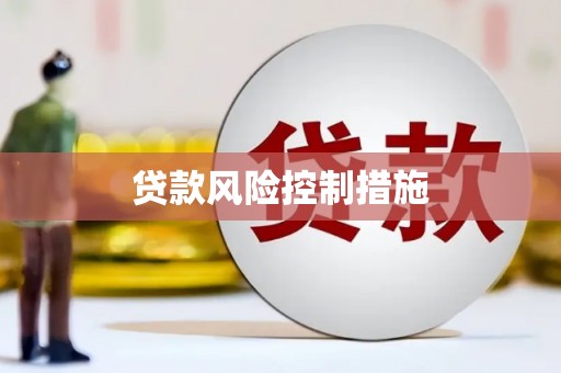 响水贷款风险控制措施