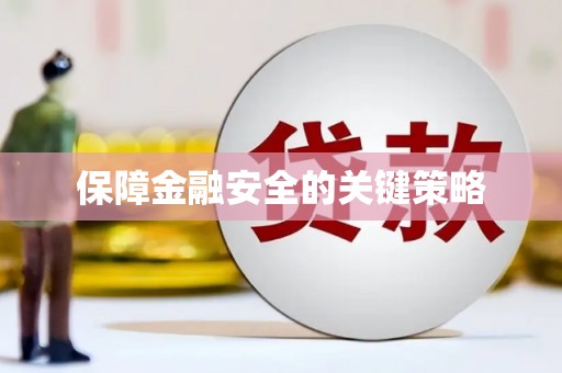 杂多保障金融安全的关键策略