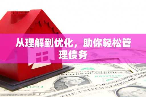 天元从理解到优化，助你轻松管理债务