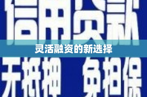 冀州灵活融资的新选择