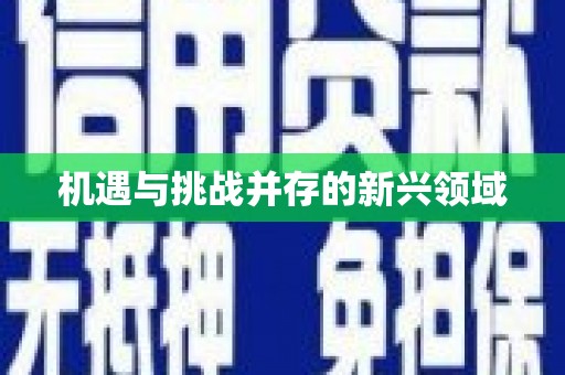 福绵机遇与挑战并存的新兴领域