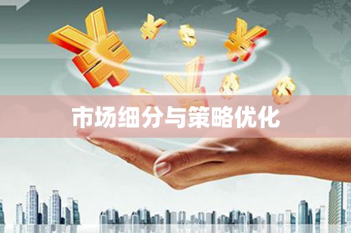文水市场细分与策略优化