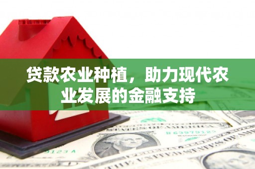 湖西贷款农业种植，助力现代农业发展的金融支持