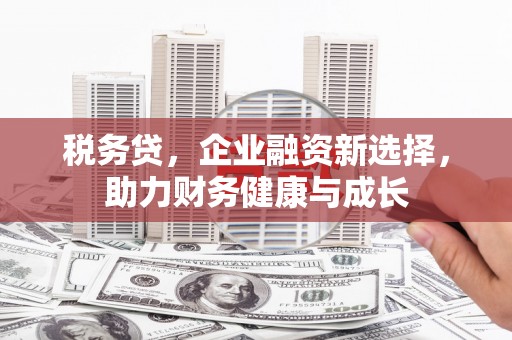 吴川税务贷，企业融资新选择，助力财务健康与成长